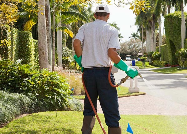 About Comfort NC Pest Control